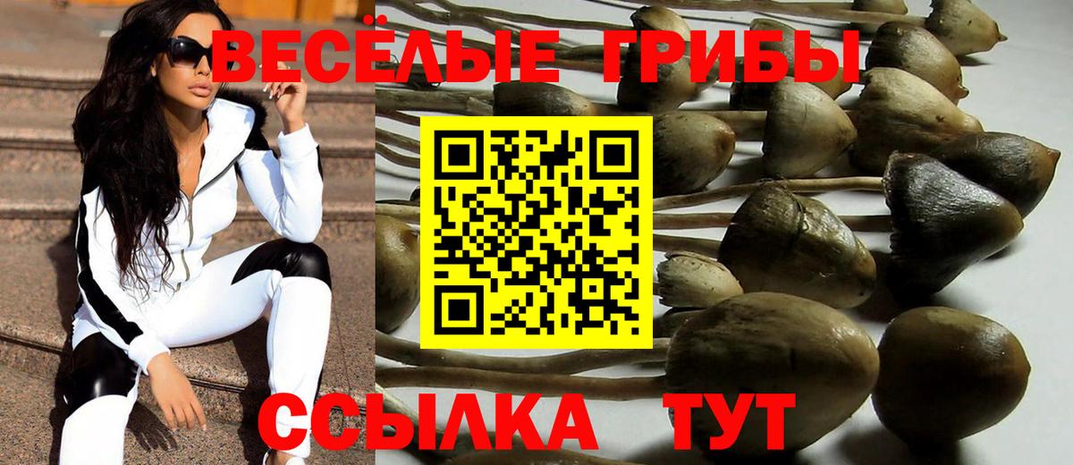 Псилоцибиновые грибы GOLDEN TEACHER  Вход с VPN  продажа наркотиков  Советская Гавань 
