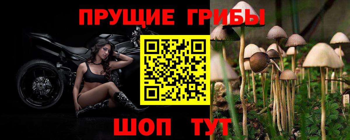 Псилоцибиновые грибы Cubensis Советская Гавань